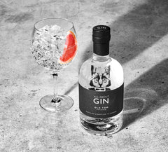 All About Gin Old Tom 43% 0,7 L